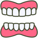 Dental Ai Linealcolor Dentures, Dental, Tooth, Gum, Chew